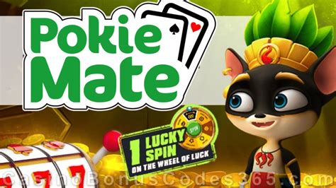 Spin the Wheel of Luck to Win More With Pokie Mate Casino.